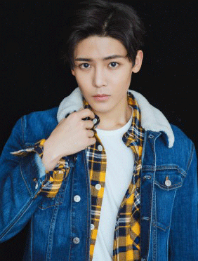 <b>《新舞林》变偶像剧片场？ 言承旭、杨丞琳、汪东城、侯明昊不尬演技拼舞技</b>