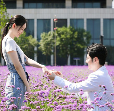 <b>《举案姹紫齐眉嫣红》热拍 唯美花海求婚剧照曝光</b>