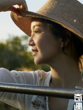 <b>《奇遇人生》非洲第一站 阿雅小S为小象遭遇心疼落泪</b>