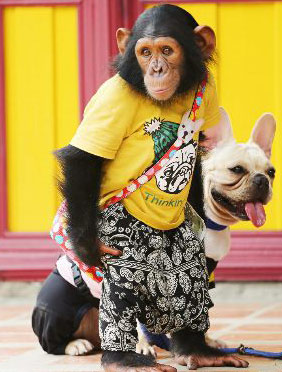 <b>米亚为好友庆生秒变“爬墙高手” 带领冬冬“勇闯”影视城</b>