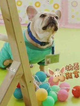 <b>《神奇伙伴在哪里》接近尾声 小米亚生日派对“忙坏”冬冬   </b>