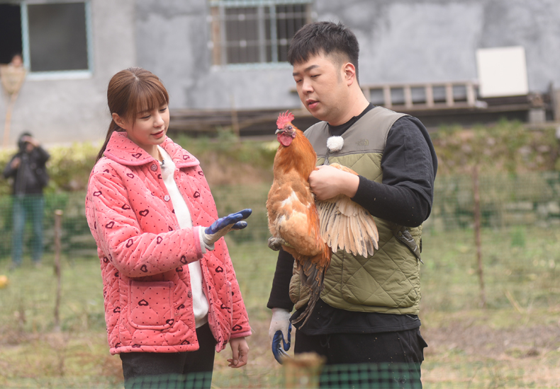 《女儿们的恋爱》沈梦辰上演土味版乡村爱情故事