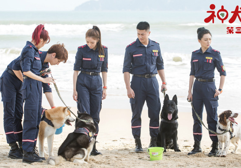 《神犬小七3》定档6月27日  姜潮宋妍霏与萌宠上演暖心救援   