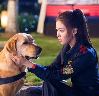 《神犬小七3》人犬完美配