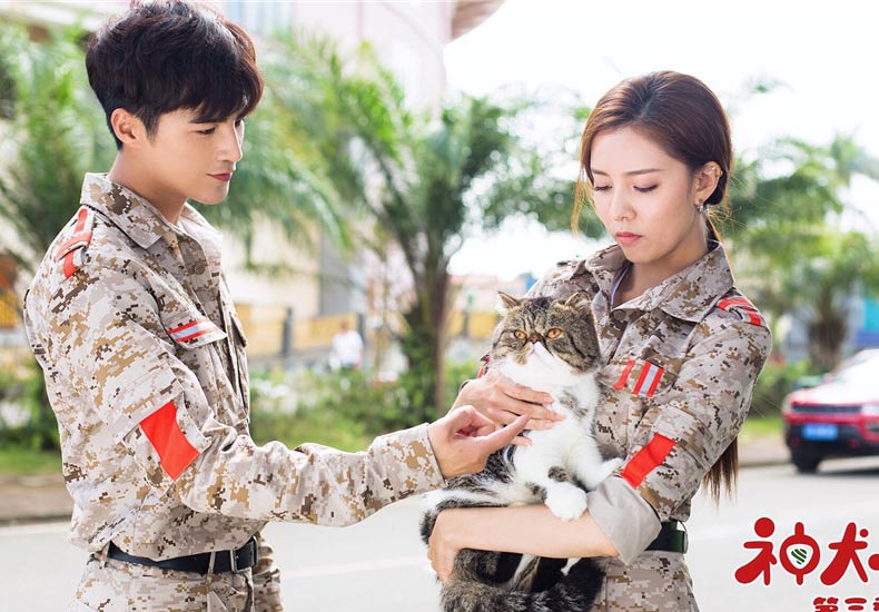 《神犬小七3》小七解除爆炸危机 黑心狗粮事件发酵