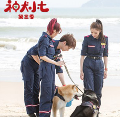 <b> 《神犬小七3》人宠联盟救助边父   边慕安心“彩排求婚”甜蜜升级</b>