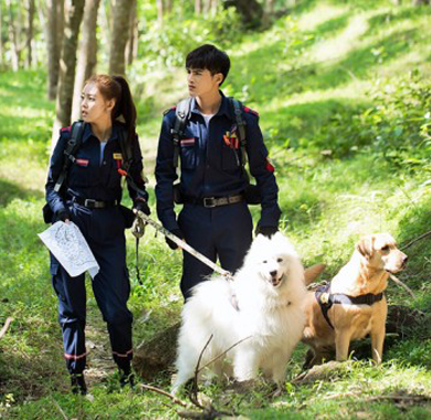 《神犬小七3》非会员收官