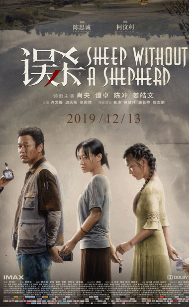 离开唐人街，肖央组队陈思诚在电影《误杀》里干了票大的！全新海报来袭