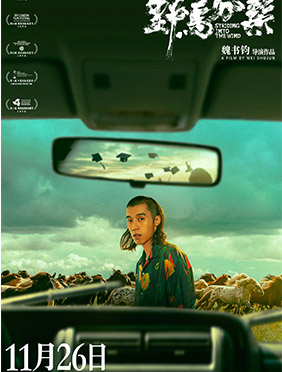 《野马分鬃》终极预告海报双发 首映礼引刁亦男盛赞“电影有温度”