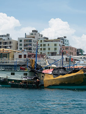 《风味人间3·大海小鲜》周日开播  回归最美丽的中国海岸线 