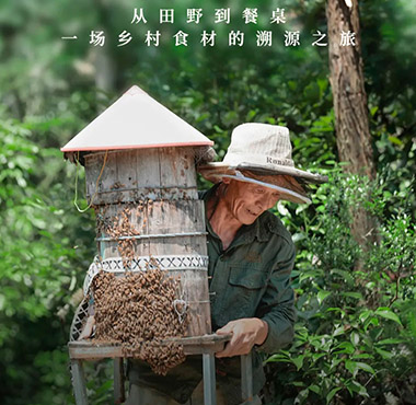 西瓜视频美食溯源纪录片