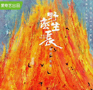 李光洁《野蛮生长》杀青