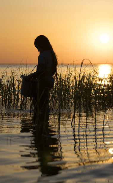 《沼泽深处的女孩》曝首支预告 沼泽女孩深陷罪案迷雾