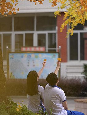 电影《我世界里的你》改