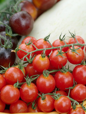 优酷纪录片《这十年·幸福中国》首播，跨越千年看遍今日幸福中国