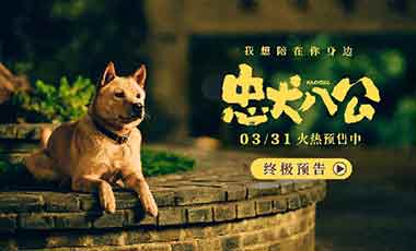 年度重磅情感炸弹《忠犬