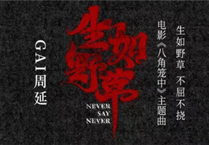 GAI周延为王宝强导演电影《八角笼中》献