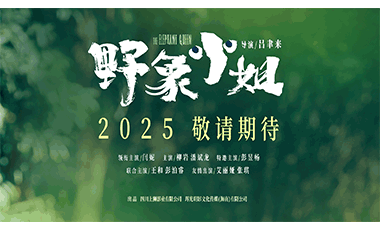 电影《野象小姐》贴片预告释放浓烈情感