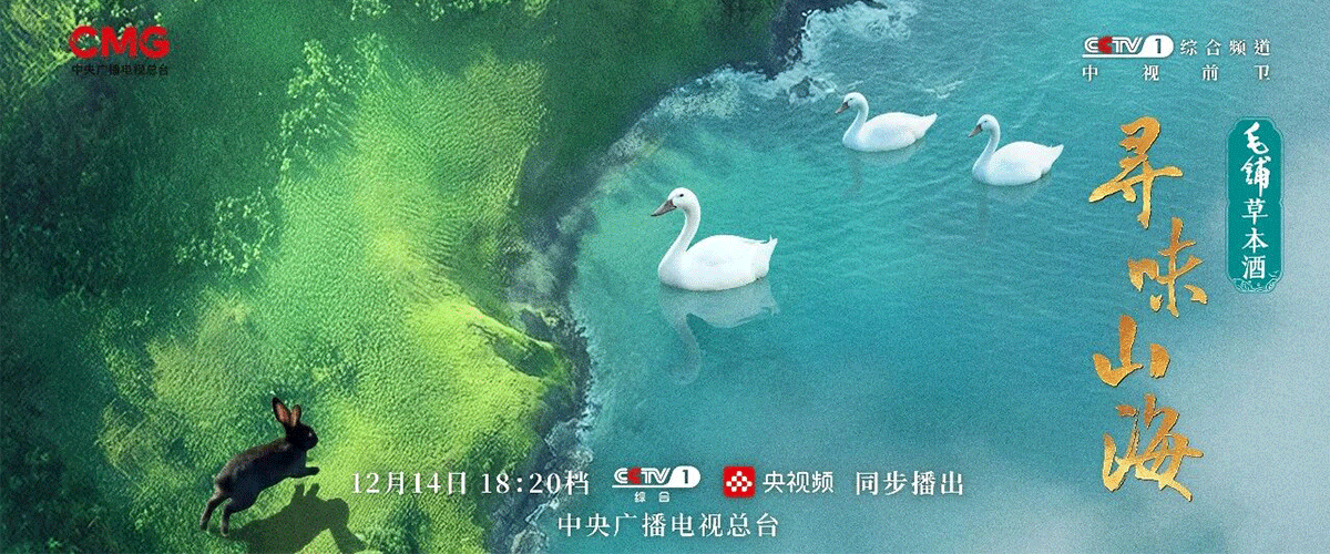 龙岩，静卧于福建西部。武夷山脉南延的余脉在此舒展，构成天然的脊梁与屏障。汀江、九龙江等穿行于丹霞、喀斯特等多样