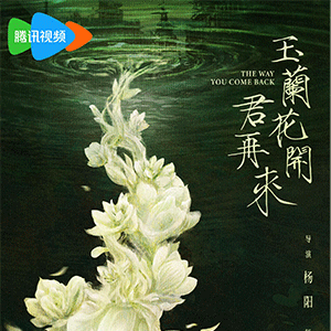 电视剧《玉兰花开君再来