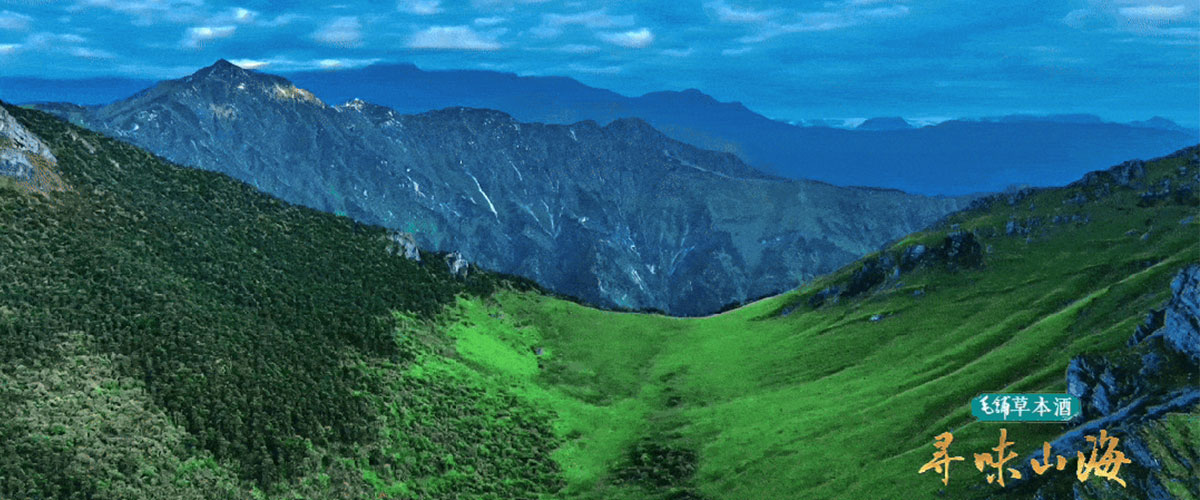 在川西平原与龙门山脉交界处，藏着一座被山水轻轻托起的古城四川崇州。这里拥有十河贯境、五水润城的细腻水系，坐拥山