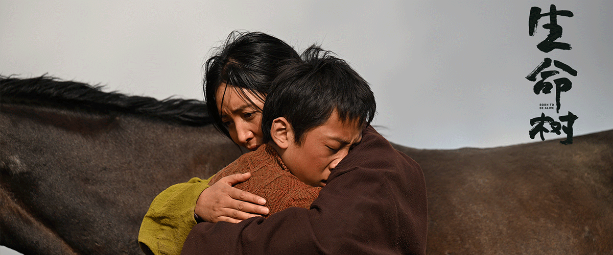 由中央广播电视总台、正午阳光、爱奇艺、中国电视剧制作中心出品、高满堂任总策划，王三毛、磊子初稿编剧，肖意凡、黄