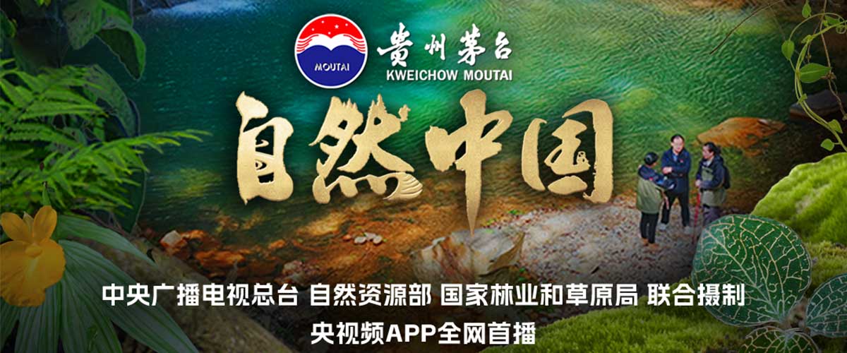 由中央广播电视总台、自然资源部、国家林业和草原局联合摄制的 两集系列片《鼎湖山》，将于3月26日起在央视综合频道（