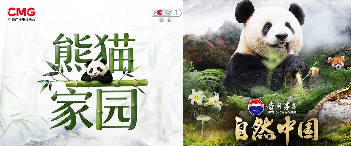由中央广播电视总台、自然资源部、国家林业和草原局联合摄制的 大型系列片《熊猫家园》，将于4月13日起在央视综合频道
