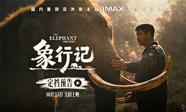 纪录电影《象行记》全球定档发布会在云