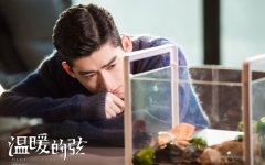 《温暖的弦》张钧甯周奇奇泪奔“和解”看哭观众  张翰带走张钧甯！