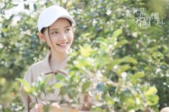 《举案姹紫齐眉嫣红》热拍 三种婚恋观勾勒婚恋浮世绘
