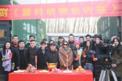 《藤科动物也凶猛》今日开机 周慧化身完美女神引期待