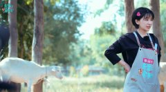 《亲爱的客栈3》公布落选合伙人 阚清子疑似被淘汰