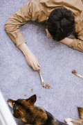 张雨剑《汪喵物语》首播 开启初夏萌宠治愈之旅