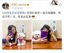 宋祖儿携萌宠在线翻牌 与粉丝有趣互动欢