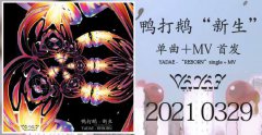 鸭打鹅发布新单曲，在自我革新的进化中