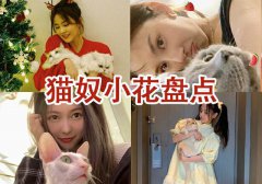 娱乐圈资深猫奴小花盘点 谁才是爱猫狂人