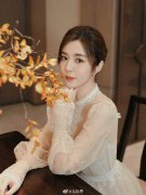 王晓晨活动写真上线 温柔纱裙演绎浪漫优