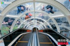 2025腾讯视频动漫大赏：在热爱与创新中奔