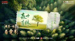 周末一起看电影：走进《森中有林》，聆